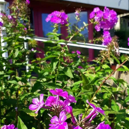 Bed & Breakfast Haensel *