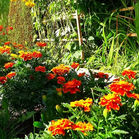 Haensel Bed & Breakfast Ehrenberg (Saxony)