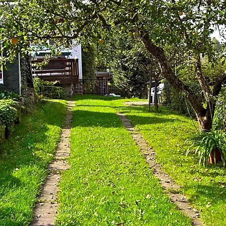 Haensel Bed & Breakfast Ehrenberg (Saxony)