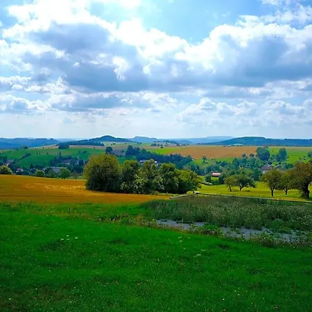 Haensel