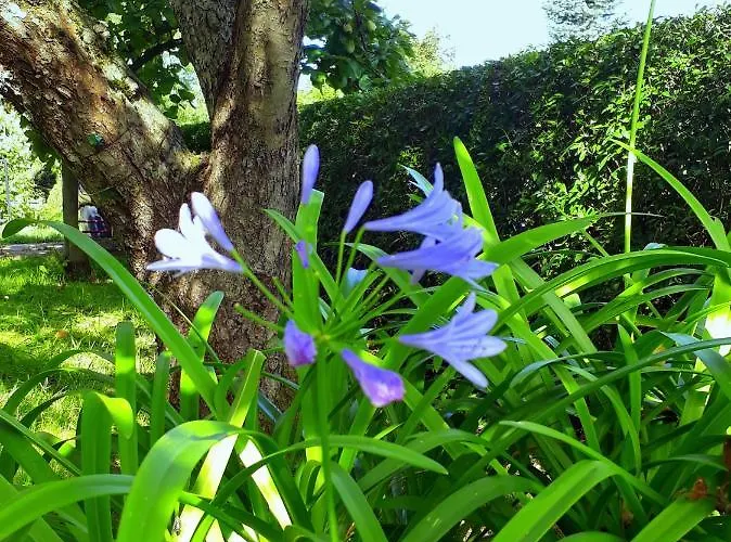 فندق مبيت وإفطار Haensel 3*