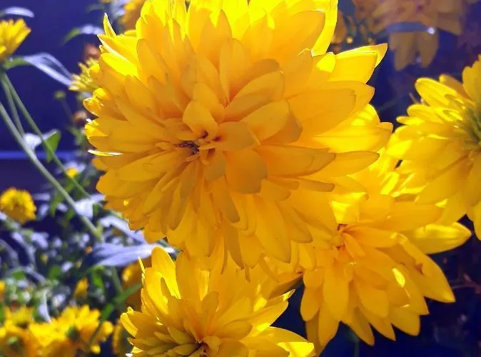 Haensel فندق مبيت وإفطار Ehrenberg (Saxony)